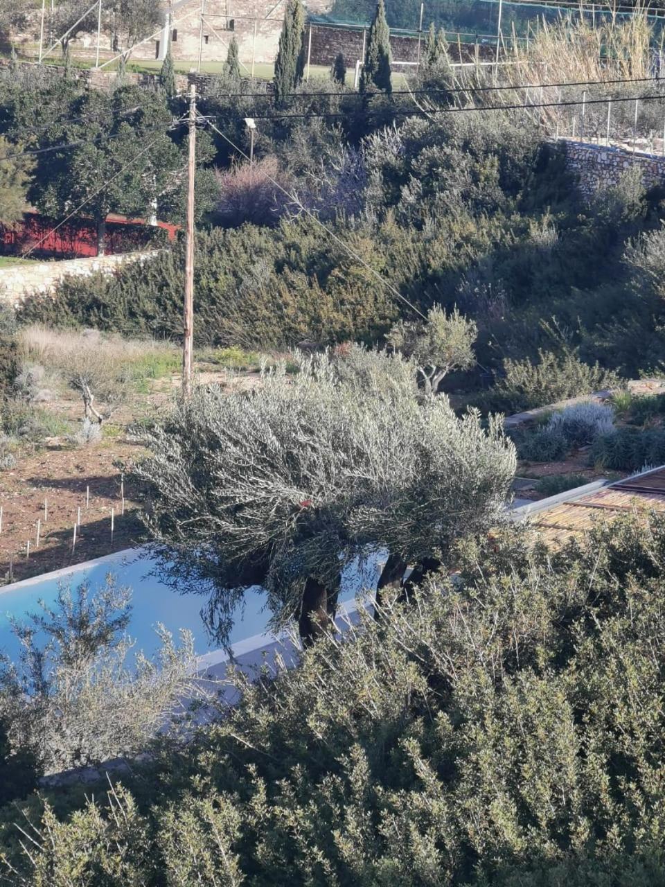 Krotiri Olithos Villas מראה חיצוני תמונה